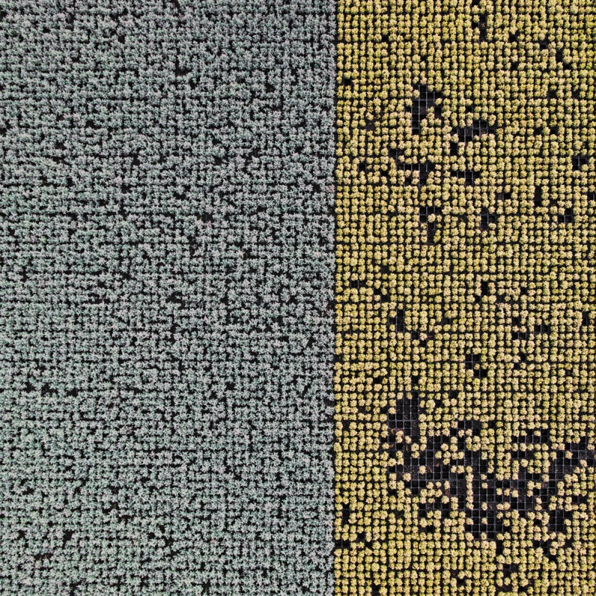 zona arbolada, fotografia de Gerco Ruijter