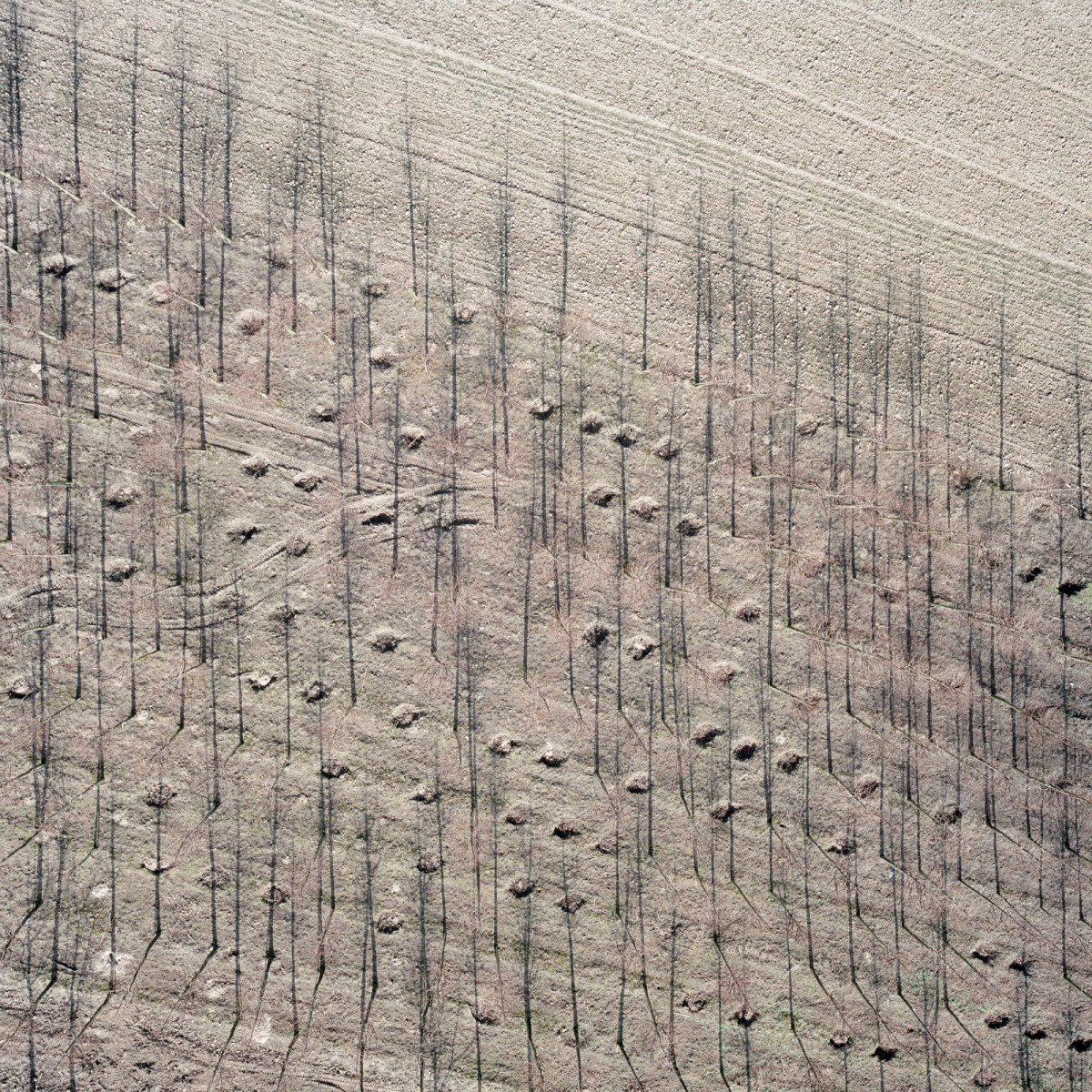 fotografía aerea del holandes gerco ruijter