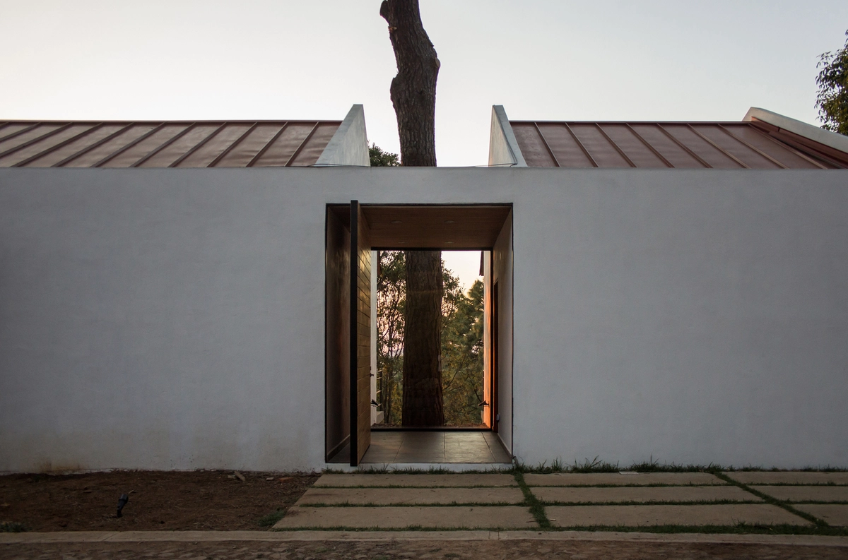 Rodeando árboles en el estado de Jalisco con Espacio EMA