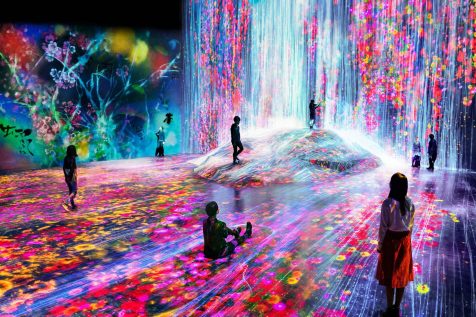 Bienvenidos a teamLab Borderless, un museo donde el arte digital te envuelve!