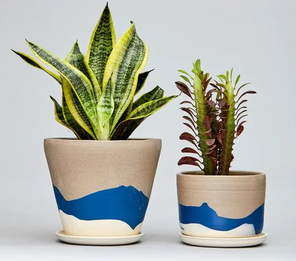 jardineras de cerámica de helen levi