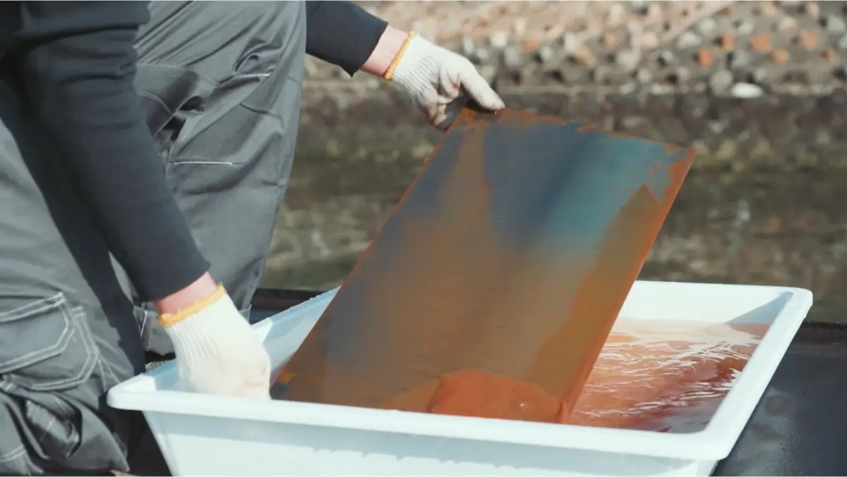 placa expuesta al agua de mar para provocar óxido