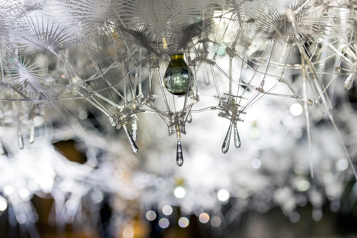 detalle de la iluminacion de astrocyte