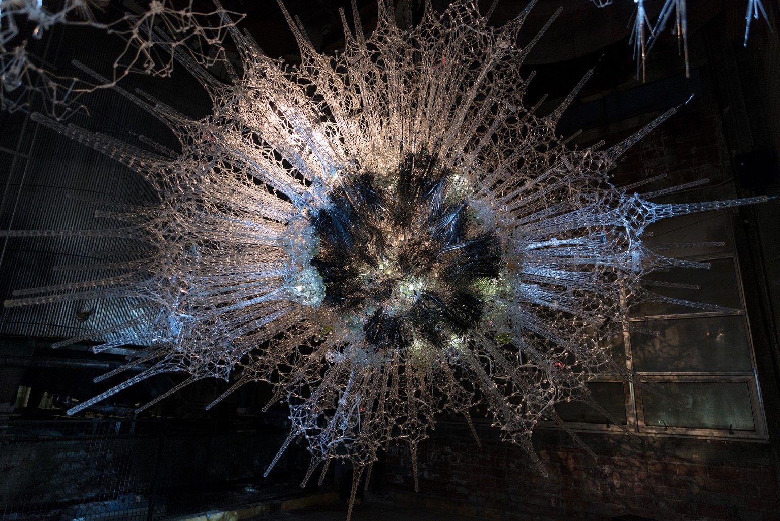 detalle de la estructura de la instalación Astrocyte
