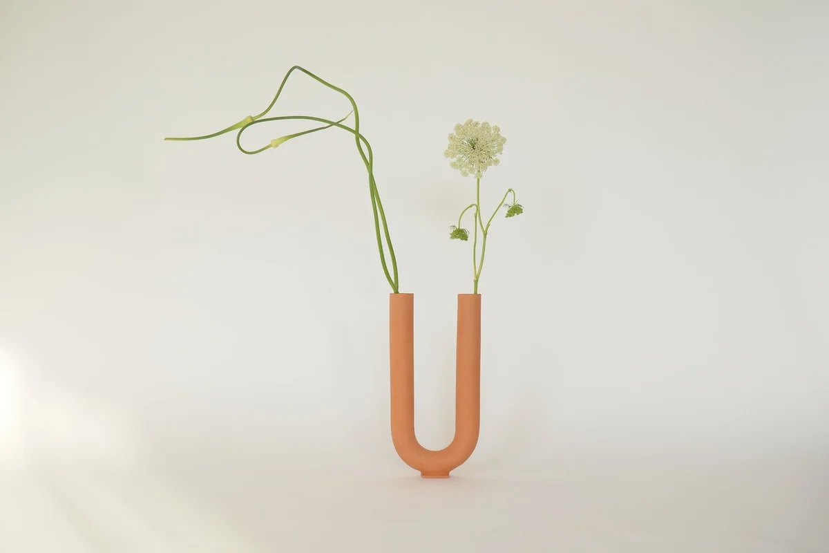 jarron you diseñado por valeria vasi
