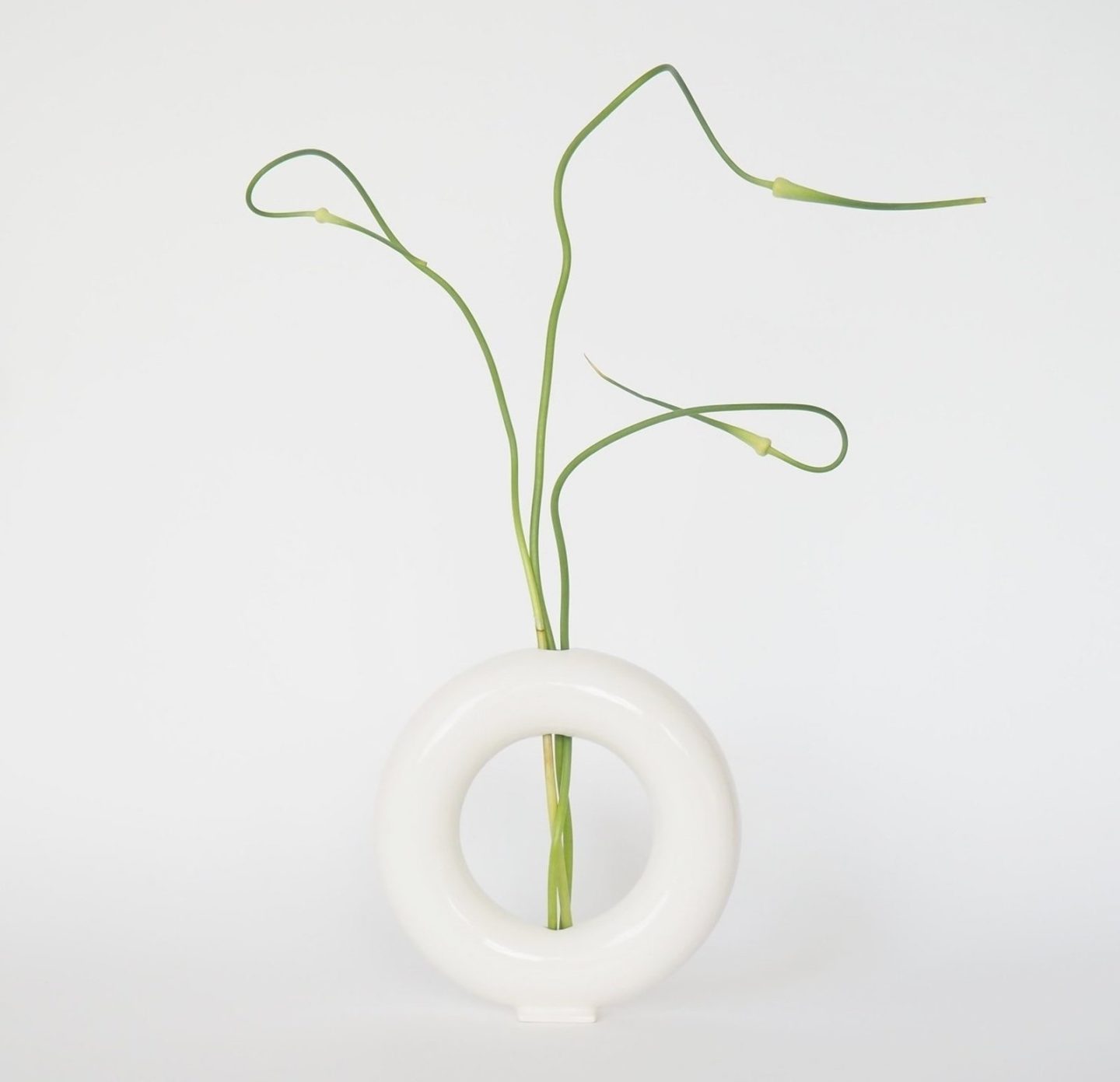 vacuum vase creado por valeria vasi