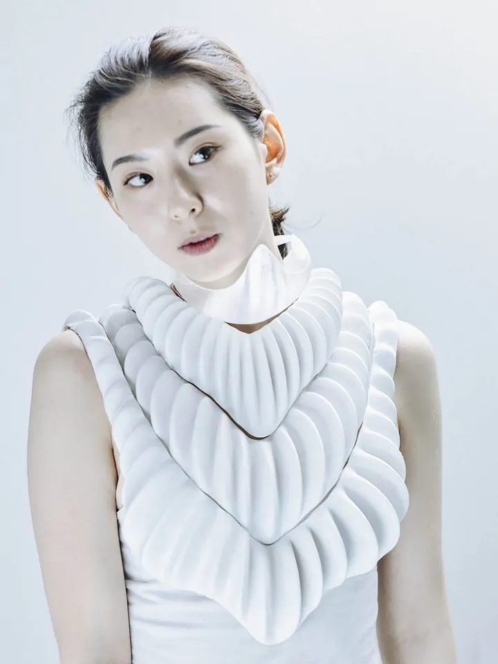 elegante resolución plástica de amphibio el proyecto en fase experimental