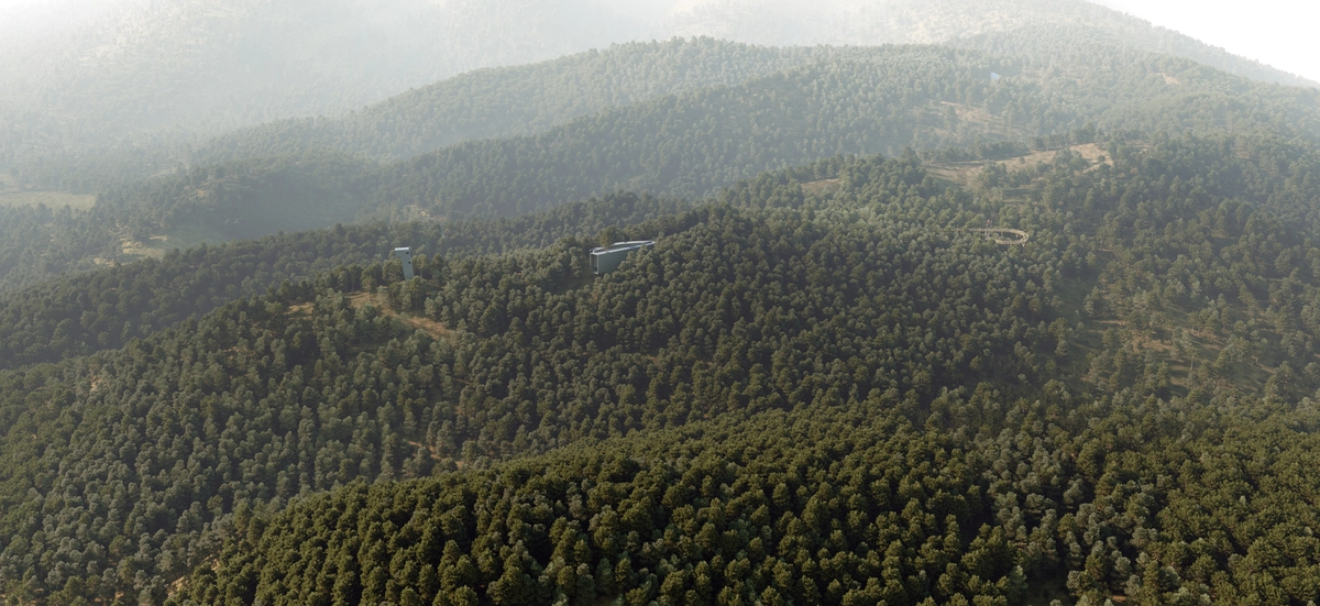 Un maestro en el bosque