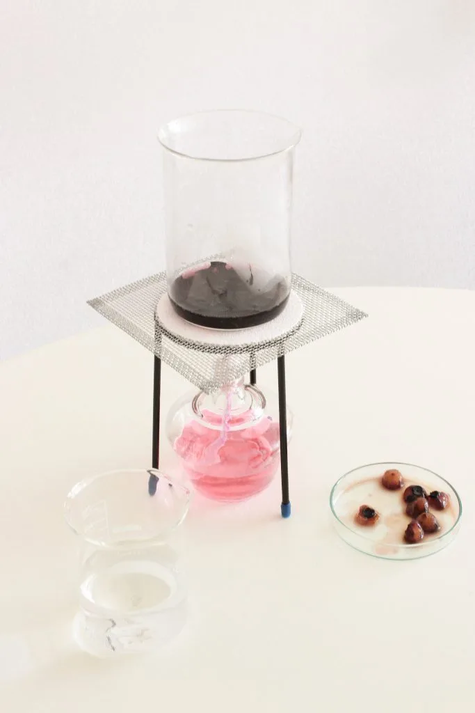 proceso de produccion del material biodegradable de margarita talep