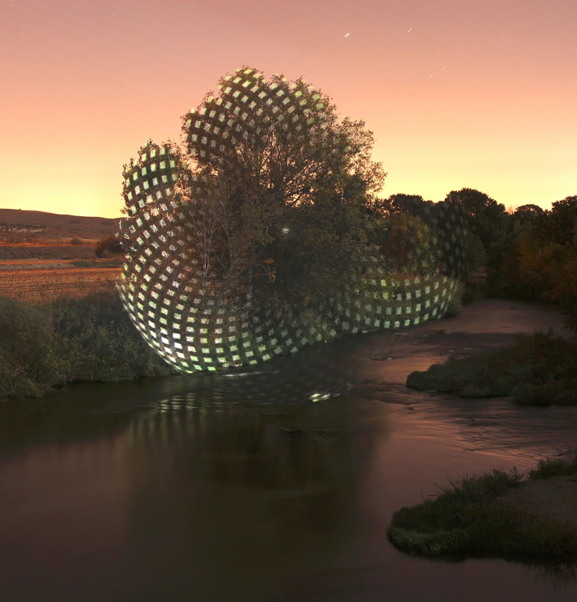 espirales de luz en la naturaleza fotografía de javier riera