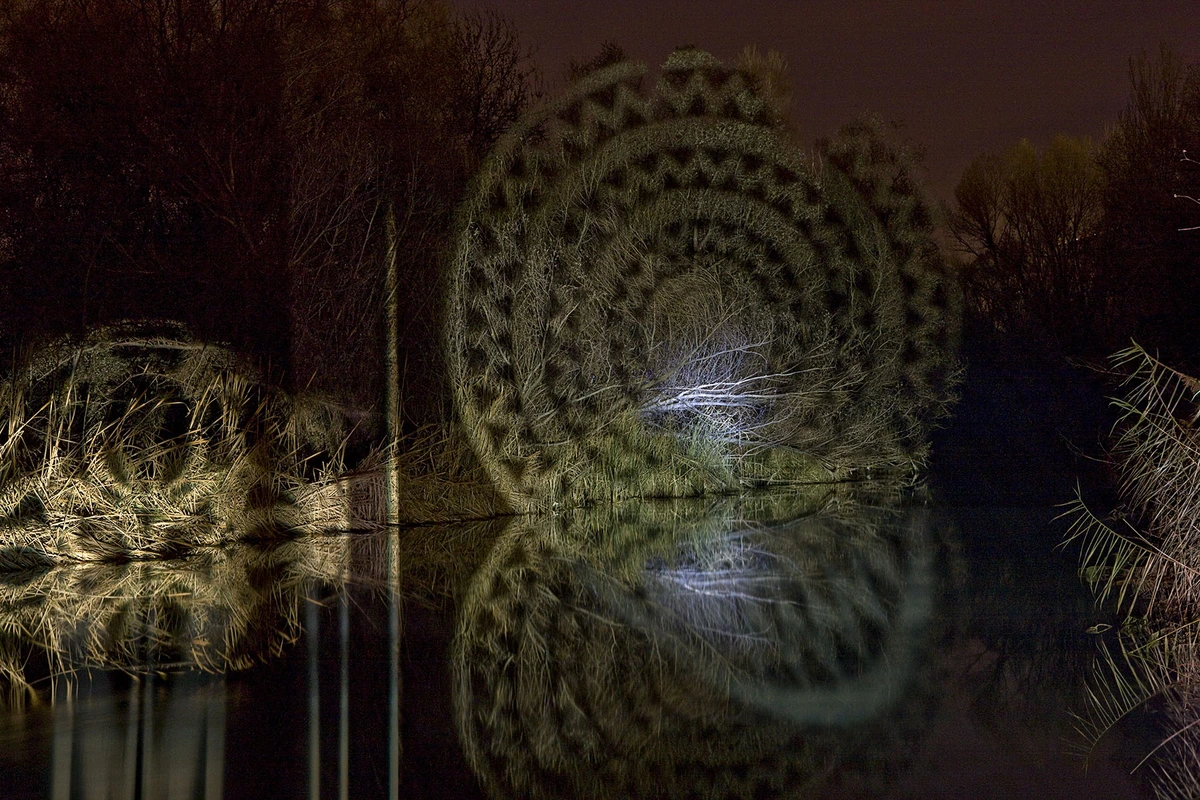 círculos concéntricos, en la naturaleza fotografía de javier riera