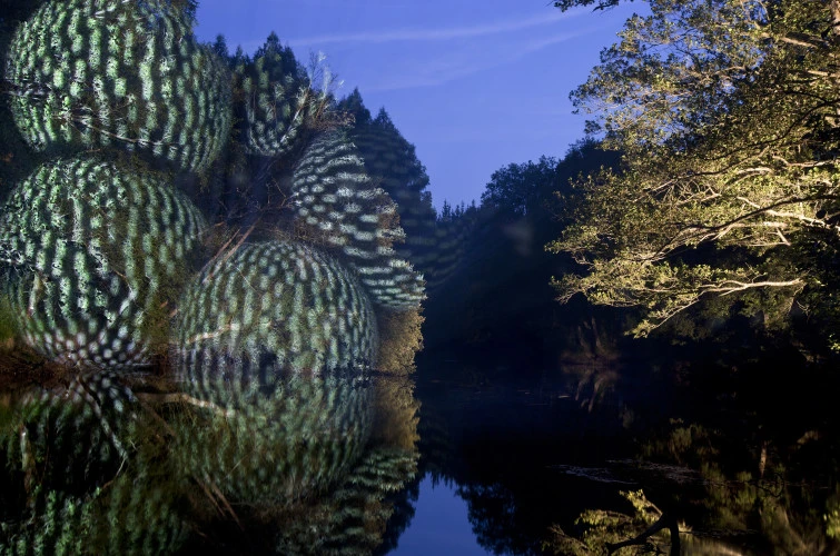 cirlucos suspendidos en las capas de los arboles