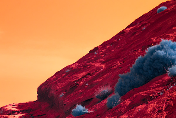 fotografía en rojo intenso que recuerda al magma del que surgio la isla