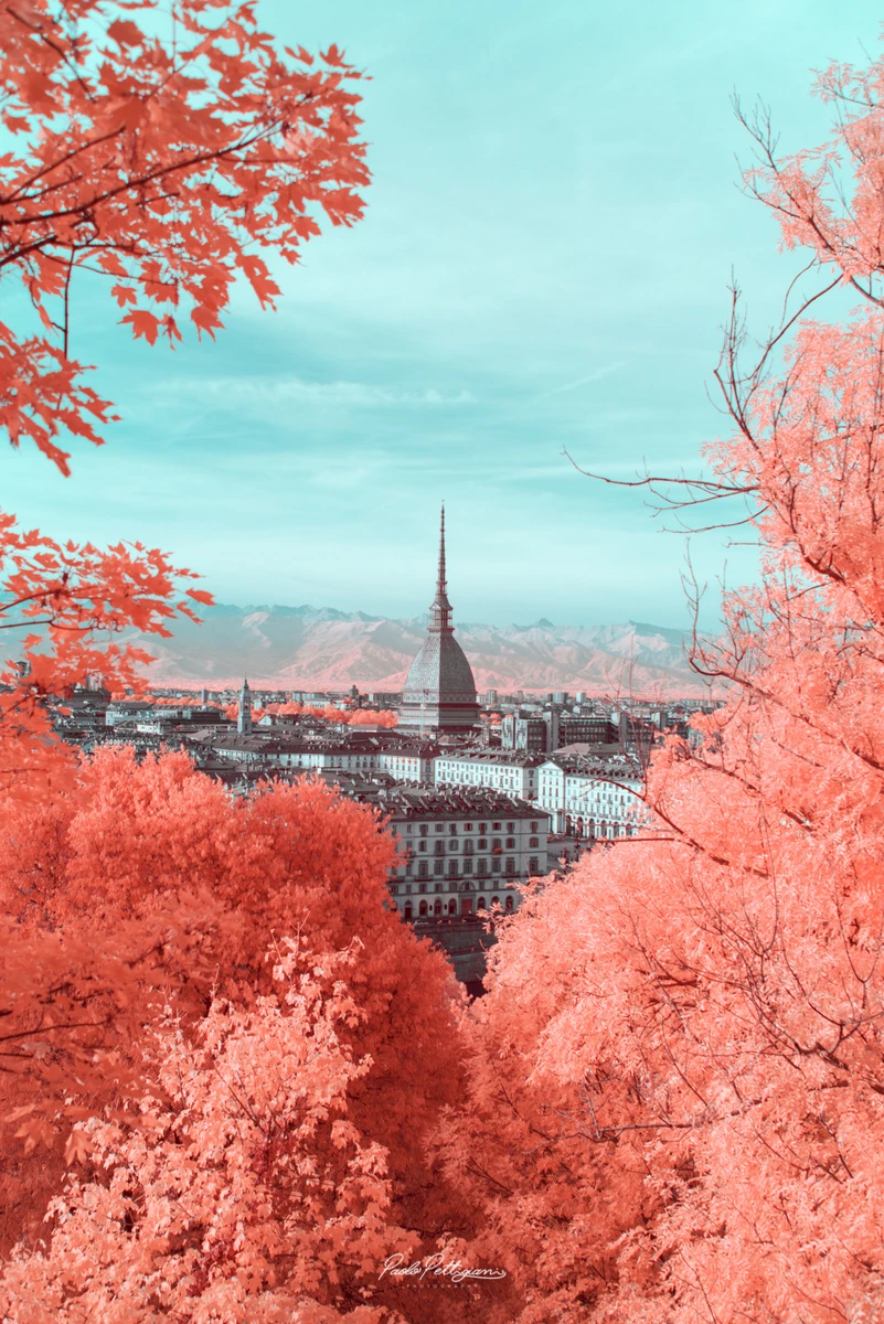 fotografia con camara reflex de paolo pettigiani