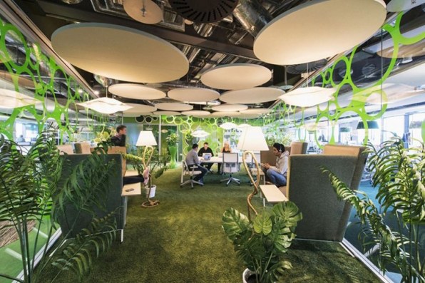 paraíso verde en que están sumergidas sus oficinas de Dublín