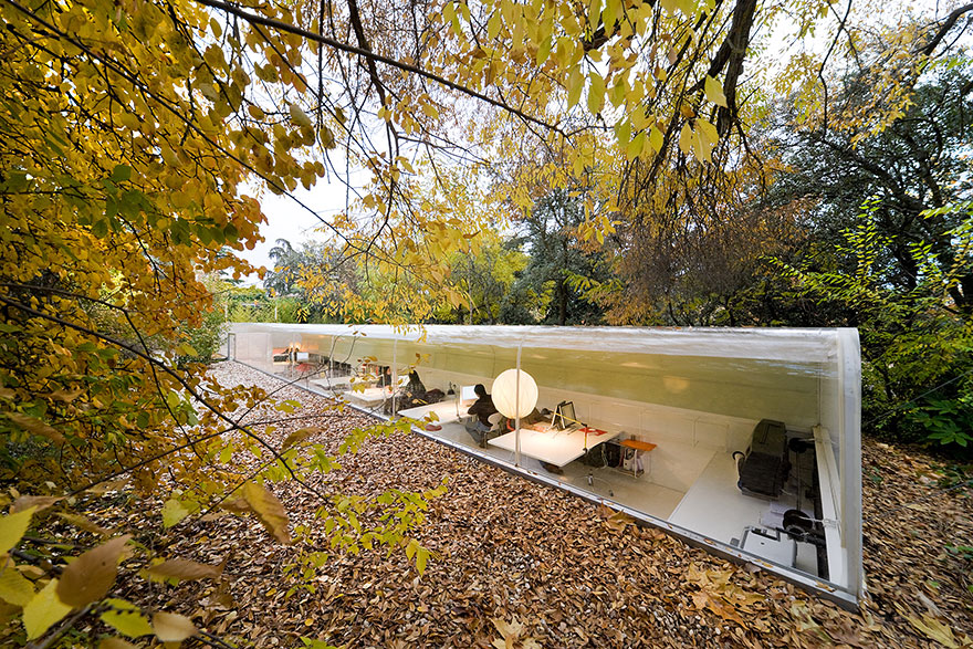 Estudio Selgas Cano literalmente excavado en un bosque