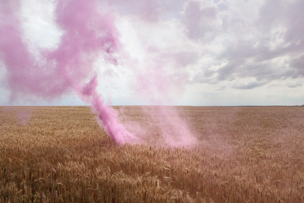 The Blossom Project: modelando paisajes efímeros con nubes de color