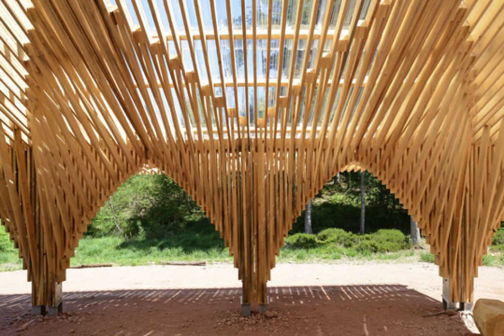 Arquerías de pino como elegante homenaje al bosque de Bertrichamps