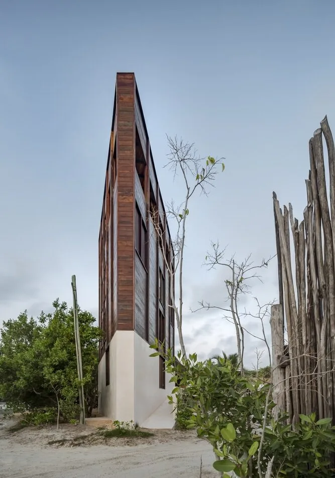 despiertaymira -Macías Peredo - Cesar  Béjar  