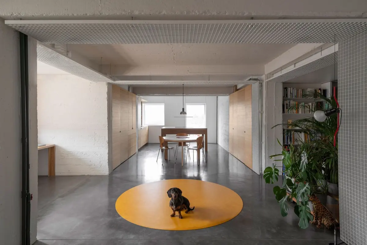 Una reforma diferente. Espacio no–binario.