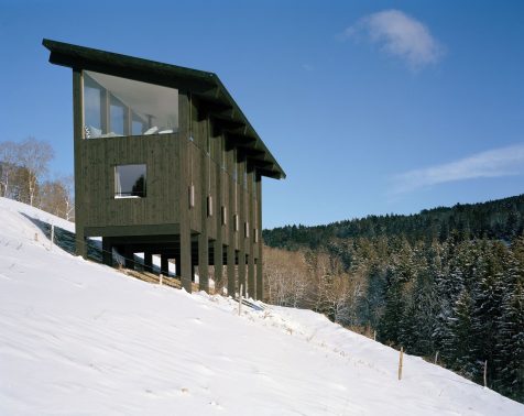 Diálogo Armónico entre Arquitectura y Naturaleza