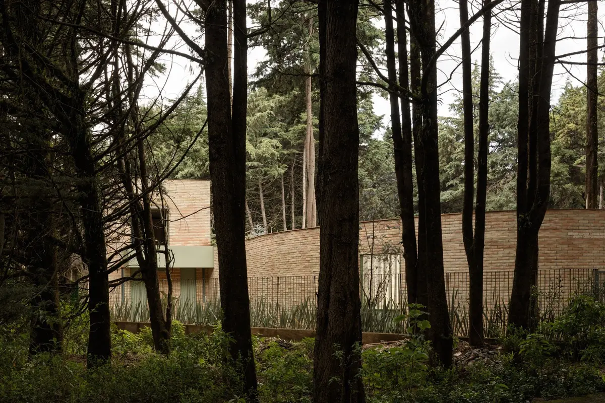 Un abrazo al bosque. Forest House de LANZA Atelier.