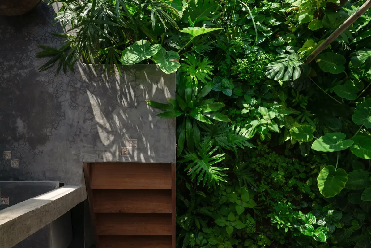 Casa Hien: Un diálogo con el pasado