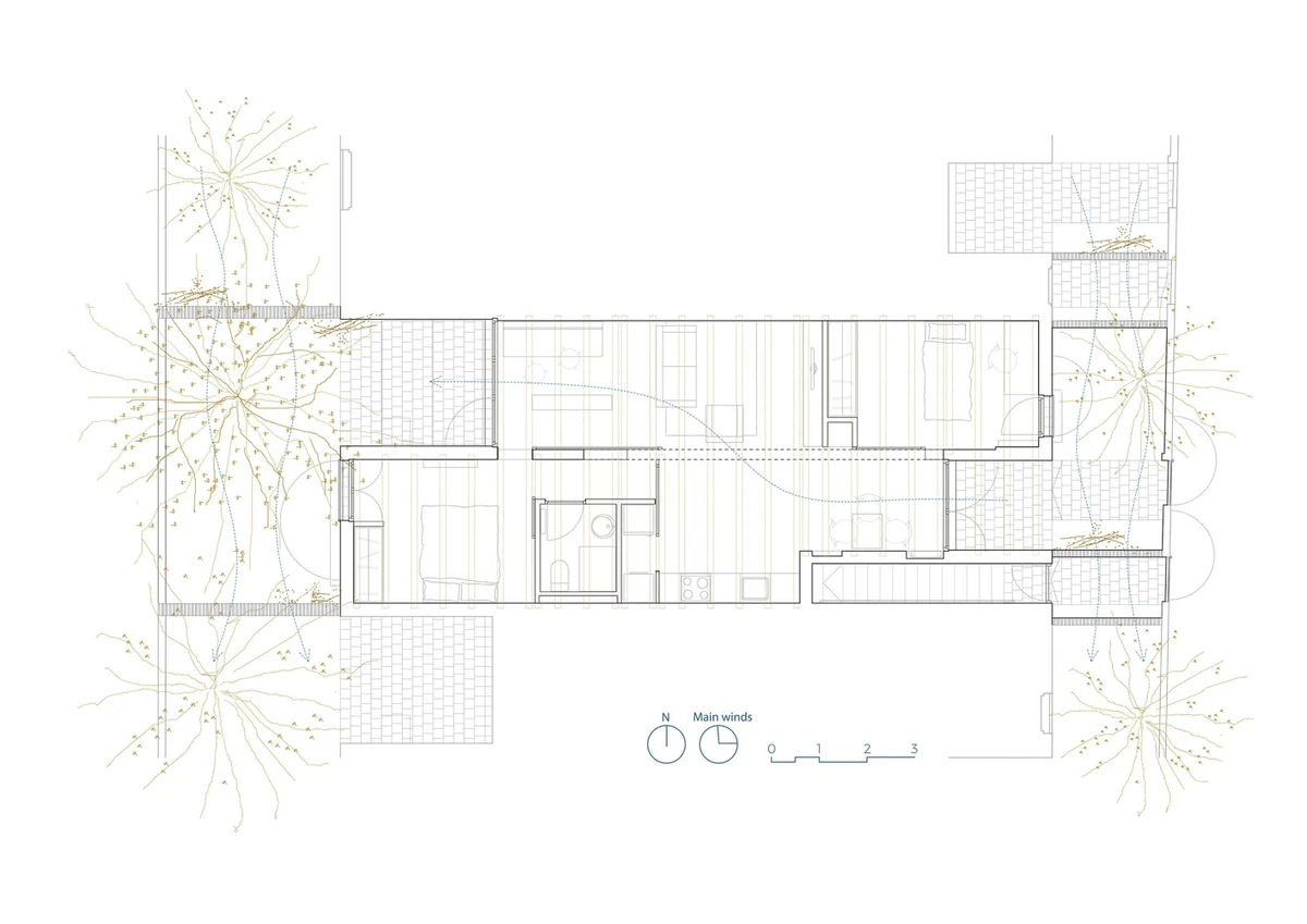 Life Reusing Posidonia: parte del ecosistema - Planta vivienda