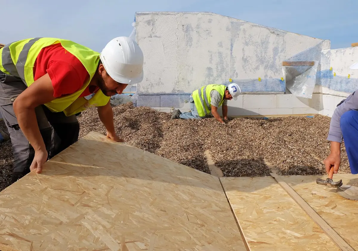 Life Reusing Posidonia: parte del ecosistema - José Hevia