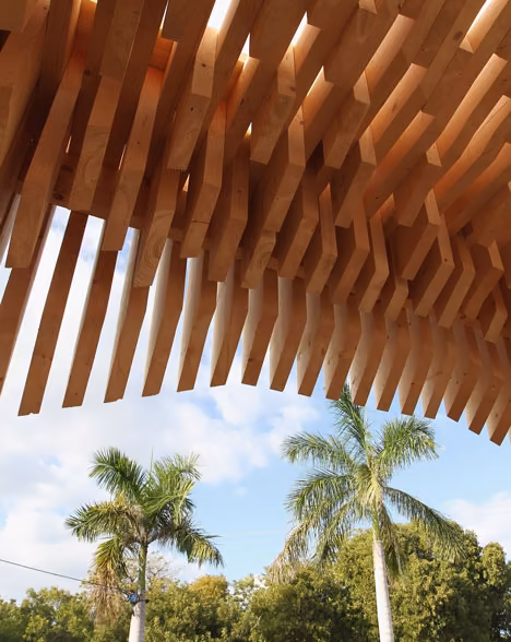 detalle de la estructura Listones de madera colgantes del pabellón Genesis de Adjaye vistos desde abajo con palmeras al fondo