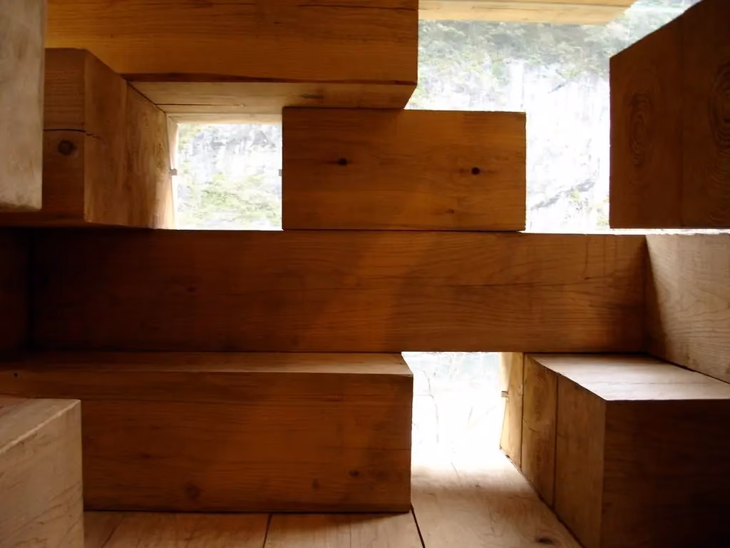 cubiculos del interior Huecos entre bloques macizos de cedro que forman asientos y estantes en la casa de Sou Fujimoto