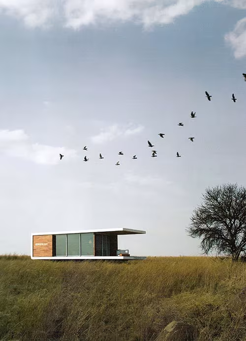 Casa prefabricada Zenkaya de cubierta volada en una pradera, con una bandada de pájaros en el cielo