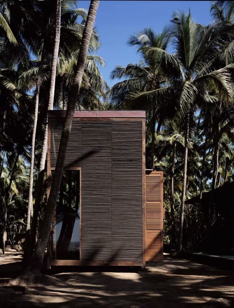 Casa Palmyra de Studio Mumbai: volumen de lamas de madera entre los troncos de un palmeral