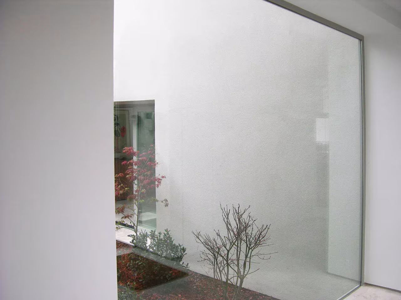 DSCN3391o Patio interior de la Casa del Pico con gran vidrio fijo, muro blanco y plantas de hoja roja