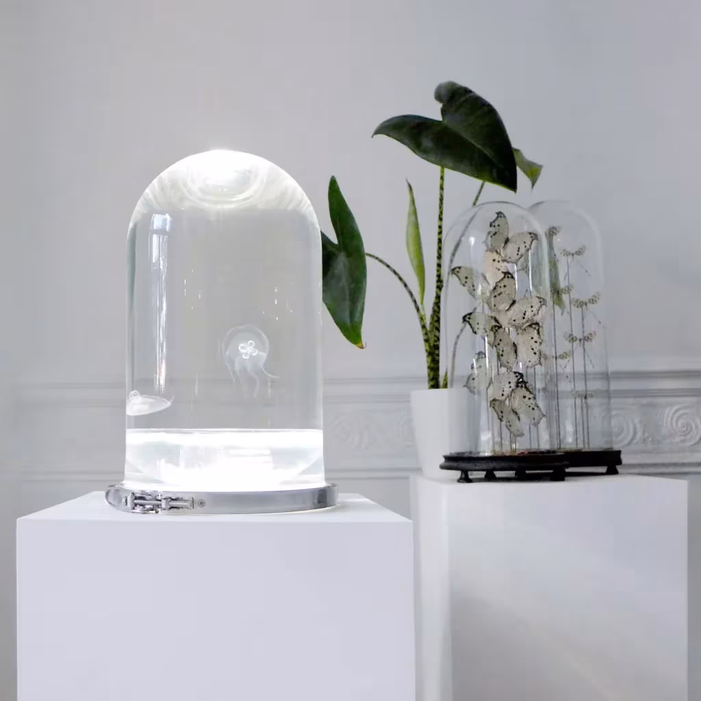 The Darwin Tank: acuario-lámpara con una medusa bajo una campana de vidrio sobre un pedestal blanco