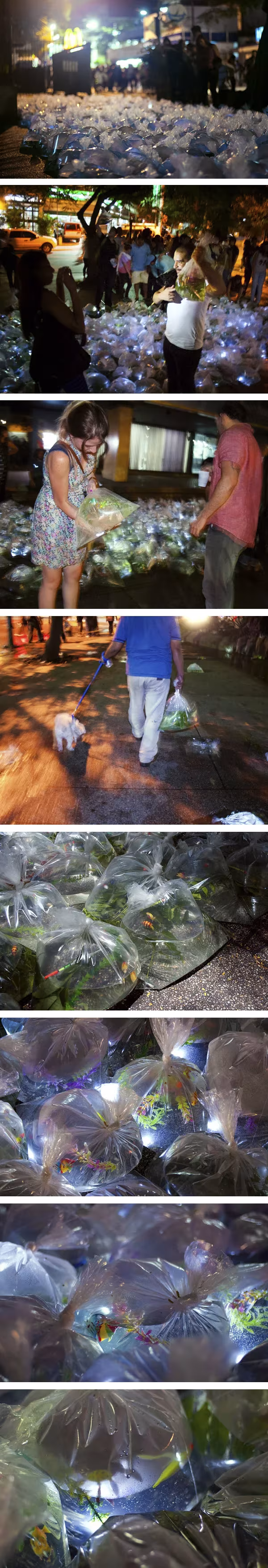 instalacion del colectivo de arte madrileño Luzinterruptus Visitantes recorren al anochecer la instalación Río Envasado, hecha con bolsas de agua iluminadas