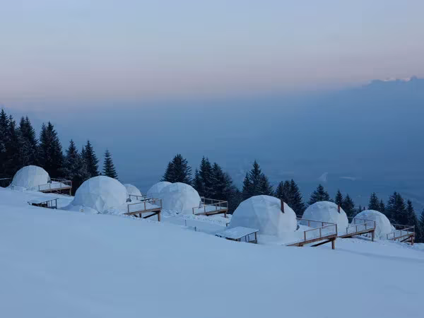 Hilera de cápsulas de WhitePod en la nieve junto a un bosque de abetos al amanecer