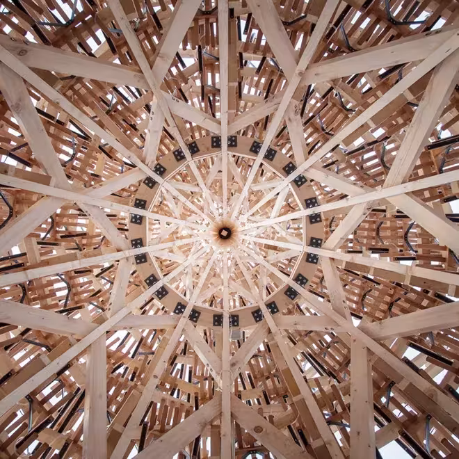 Vista cenital del interior del árbol de Hello Wood, con los trineos dispuestos en estrella