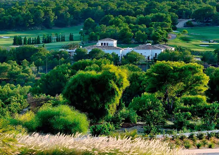 Villas blancas de Las Colinas entre pinares y campo de golf, con gramíneas en primer plano