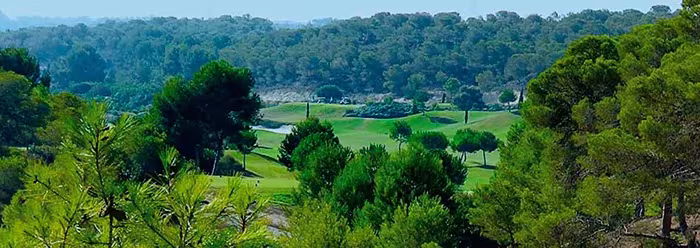 Vista panorámica del valle de Las Colinas con campo de golf y bosque de pinos