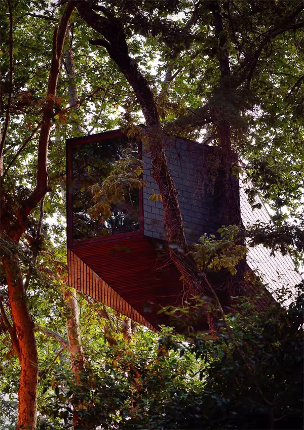 Volumen de madera y pizarra de una Tree Snake House de Rebelo de Andrade entre las copas de los árboles