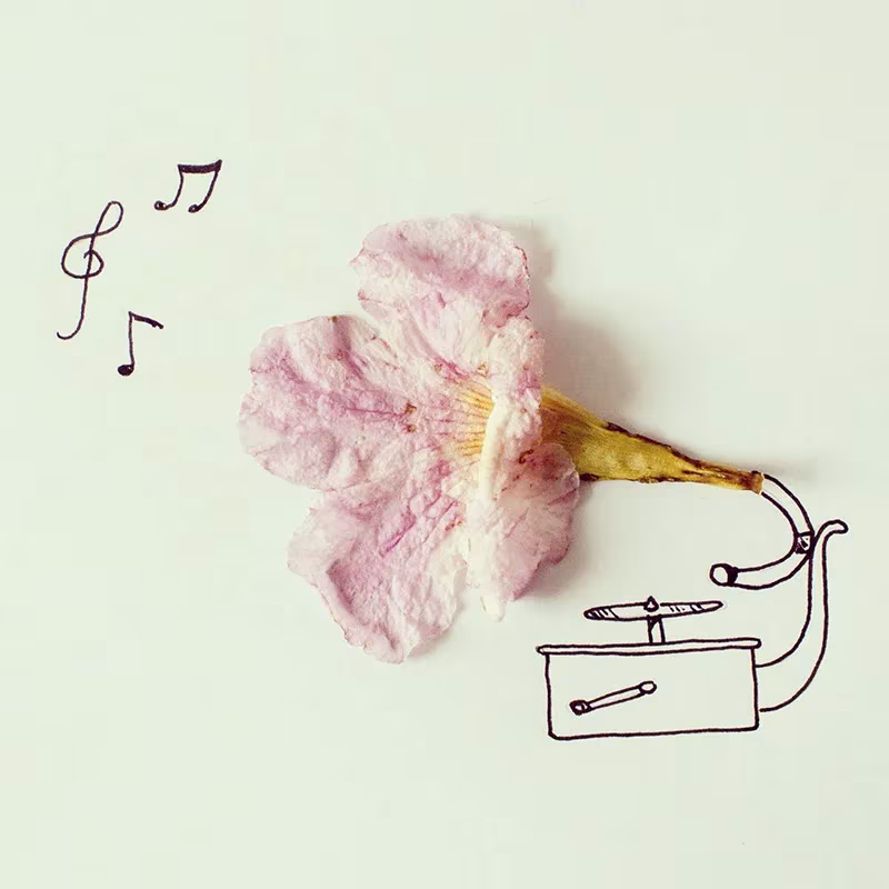 Ilustración de Cintascotch con una flor rosa como bocina de un gramófono dibujado y notas musicales