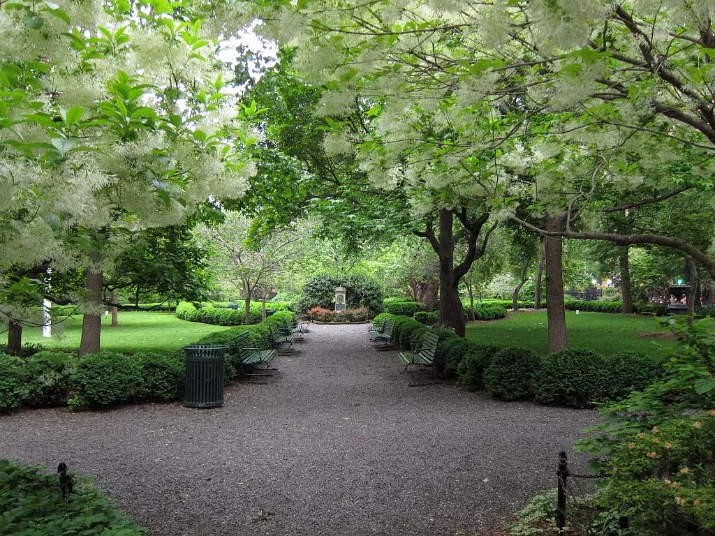 Paseo de grava bajo árboles en flor blanca dentro de Gramercy Park, en Nueva York