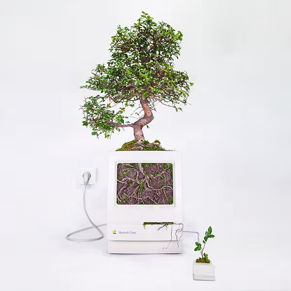 Creación del artista parisino Christophe Guinet, más conocido como Monsieur Plant