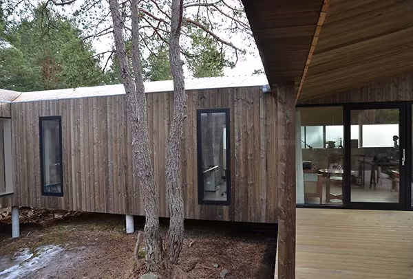 Volumen de madera de la Casa Cubo de Reiulf Ramstad entre troncos de pino, con puertas de vidrio hacia el interior
