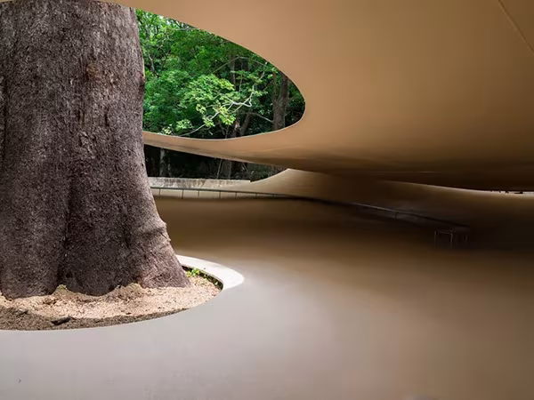 Gran tronco de árbol atravesando el Fukita Pavilion en Kagawa, con una abertura curva hacia el bosque