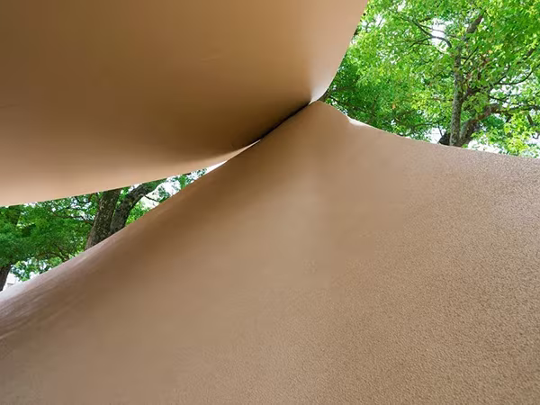 Punto en que se tocan las dos láminas curvas del Fukita Pavilion bajo las copas verdes de los árboles
