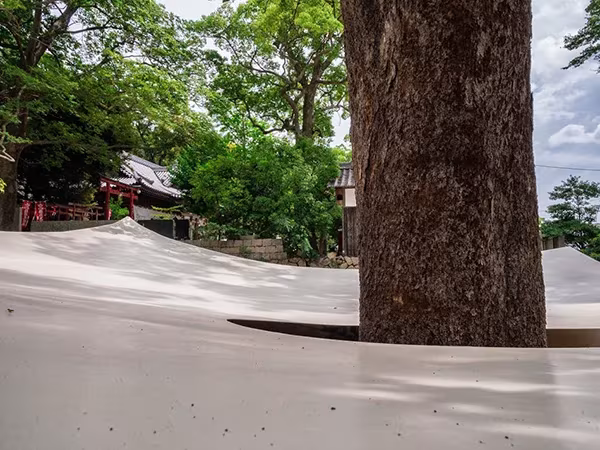 Cubierta clara del Fukita Pavilion vista a ras, con el tronco del árbol emergiendo en el centro