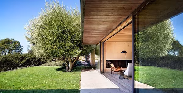 Volumen acristalado de la NAPA House abierto a un jardín de césped con un olivo bajo el sol