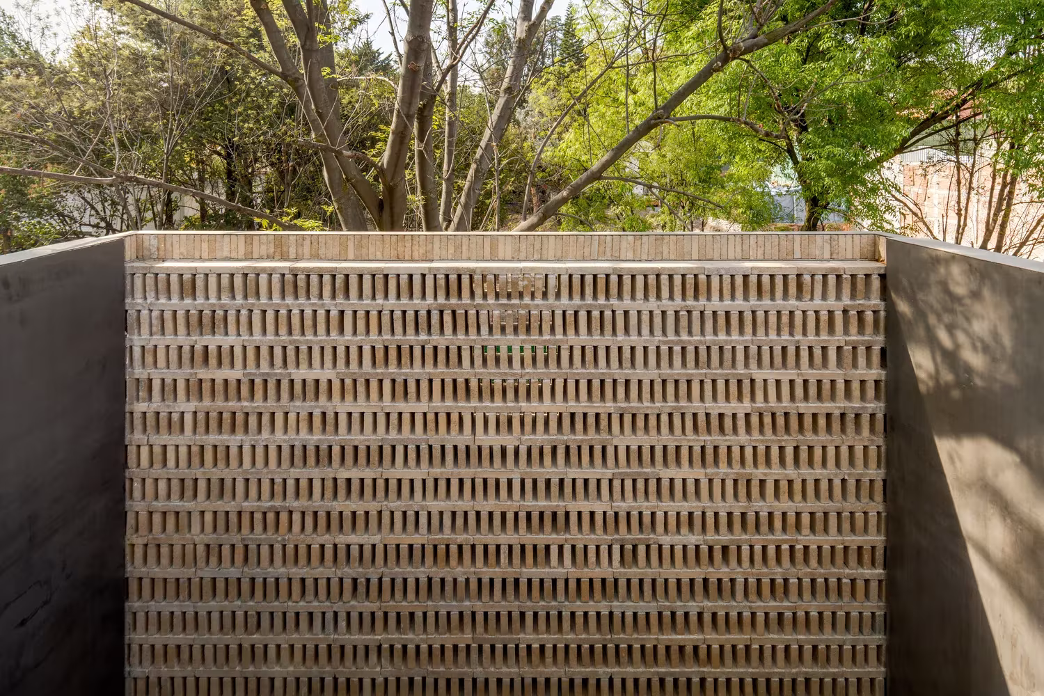 Muro de celosía cerámica entre paredes de hormigón oscuro bajo las copas de los árboles en la Casa Campestre